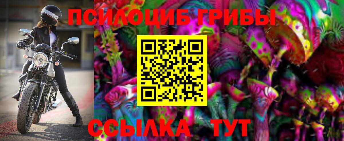 Псилоцибиновые грибы прущие грибы  Вход с VPN  Сунжа 