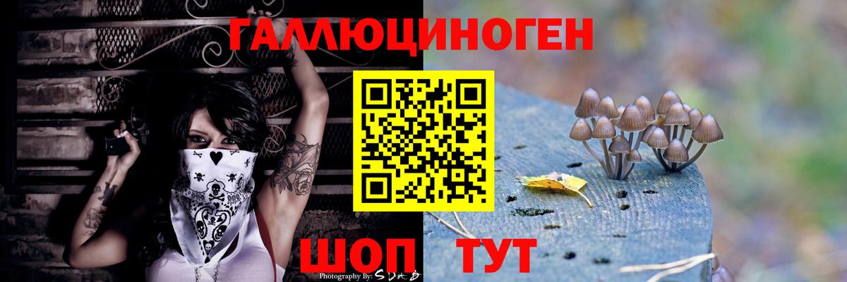 Галлюциногенные грибы Psilocybe Сунжа